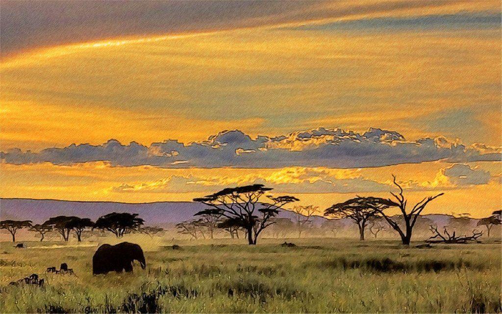 African Safari Wallpapers yvt