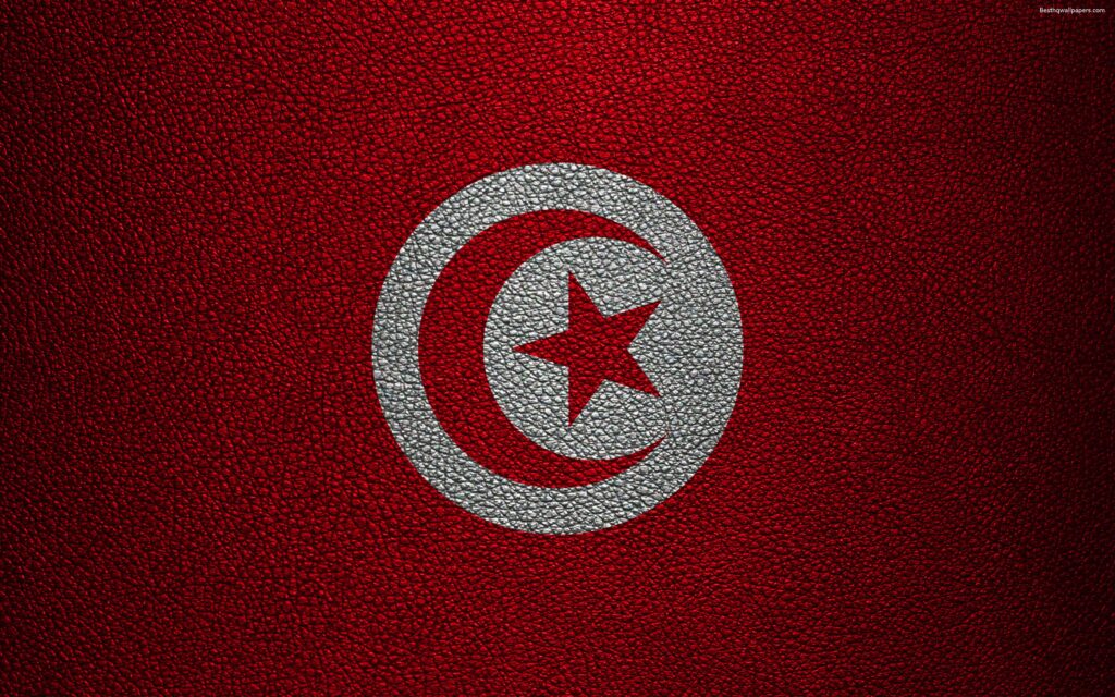 Download wallpapers Flag of Tunisia, Africa, k, leather texture