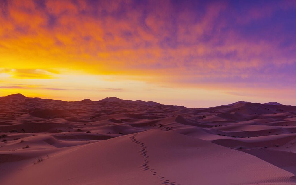 Download Sahara Desert Sand Wallpapers Free By udhao