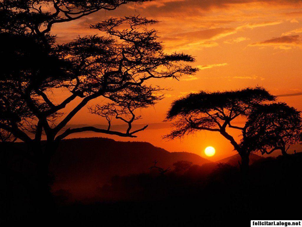 Free wallpapers Serengeti National Park Sunset Tanzania x