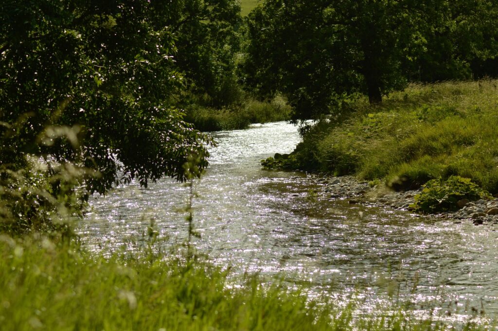 Bright river, river, riverbank, sparkling, stream, sunlight k