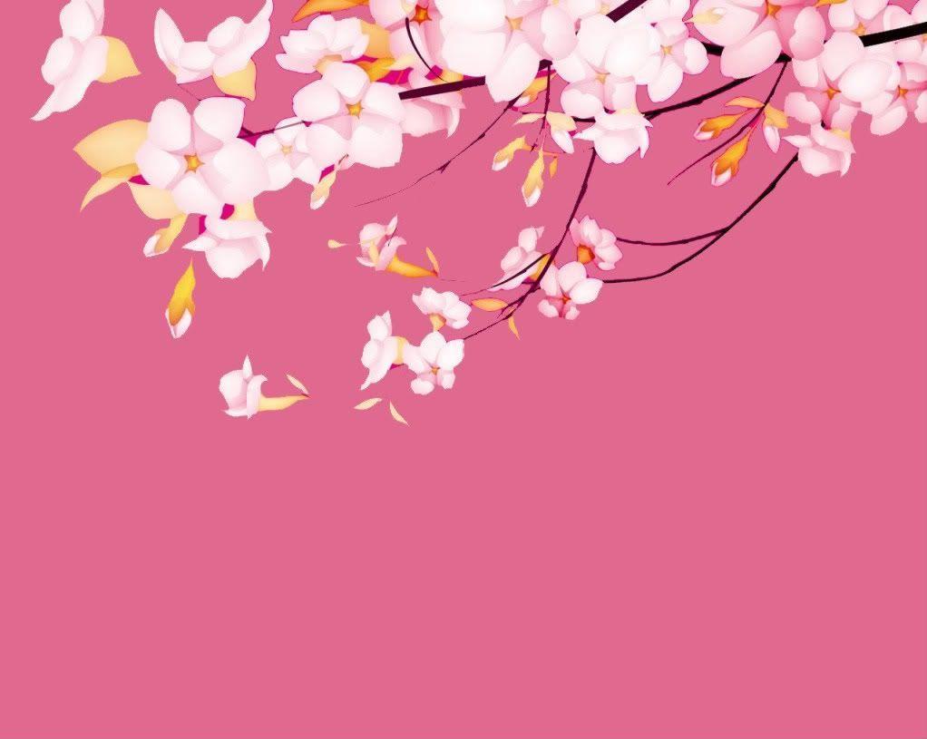 Sakuraflower