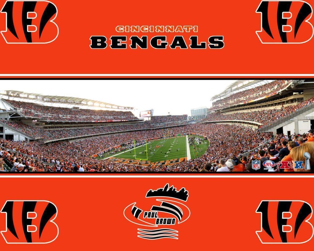 Cincinnati Bengals stadium wallpapers