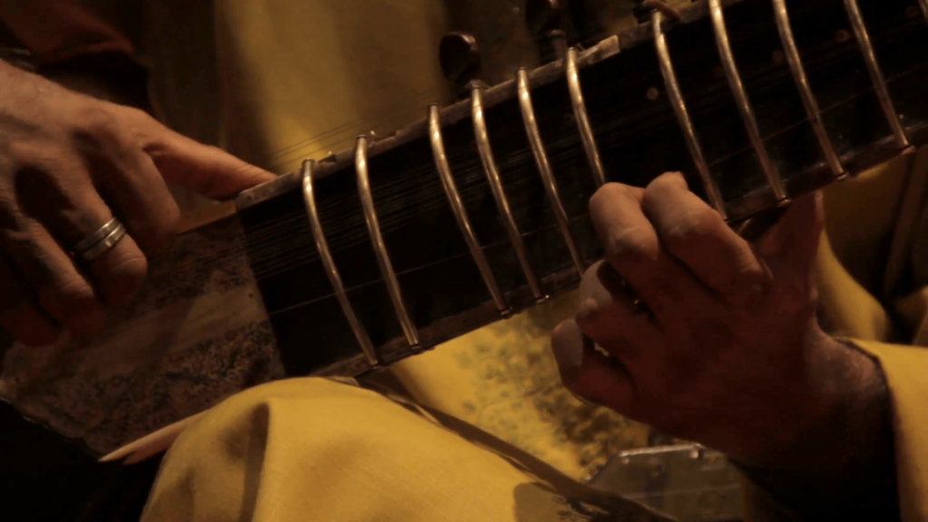 Indian musician playing the sitar Stock Video Footage