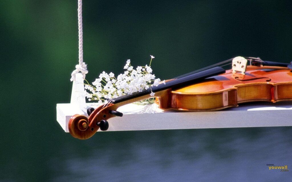 Violin Wallpapers Desk 4K 2K Wallpapers Pictures