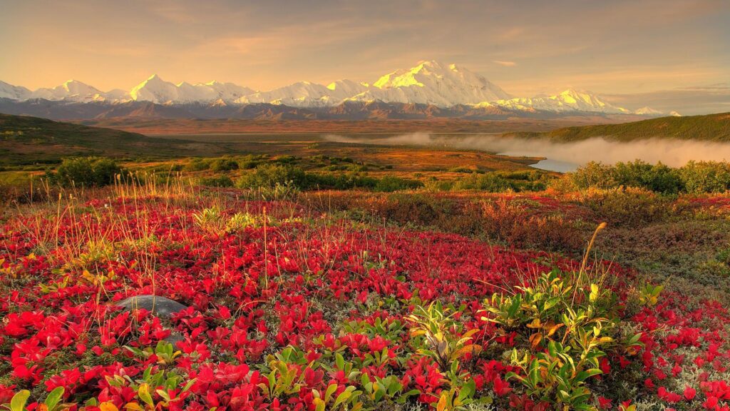 Denali National Park Wallpapers  – Full HD