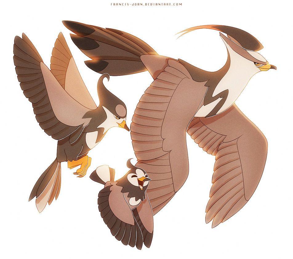 Staravia Starly and Staraptor by francis