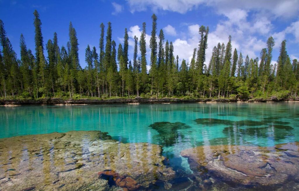 Wallpapers The Pacific ocean, New Caledonia, Isle of pines Wallpaper for