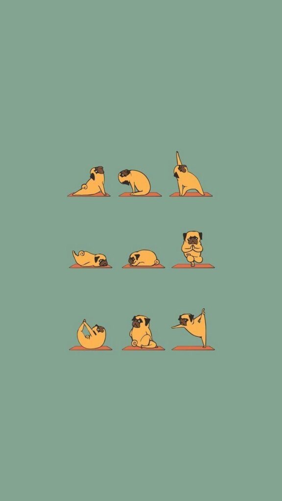 Funny Pug Doing Yoga