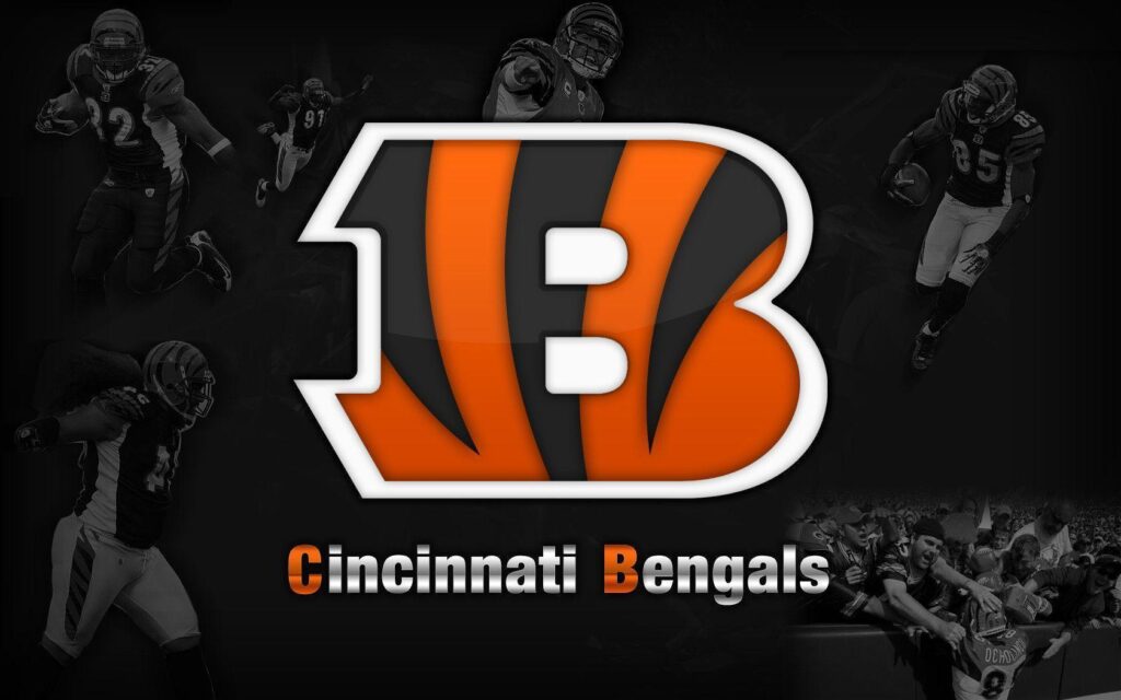 Cincinnati Bengals 2K Wallpapers