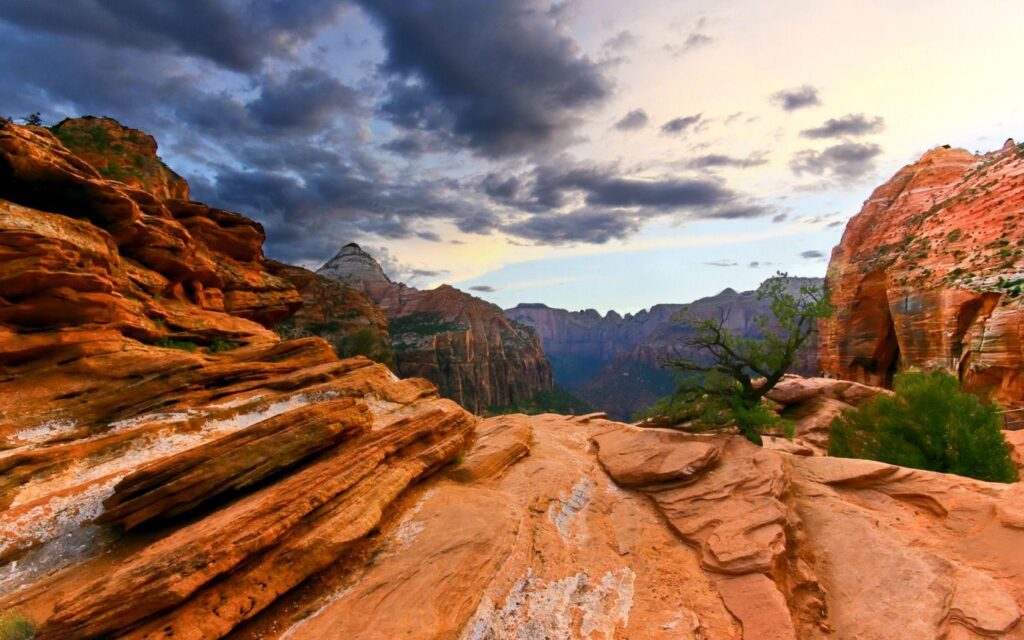 Zion National Park Wallpapers Landscape Nature Wallpapers in K