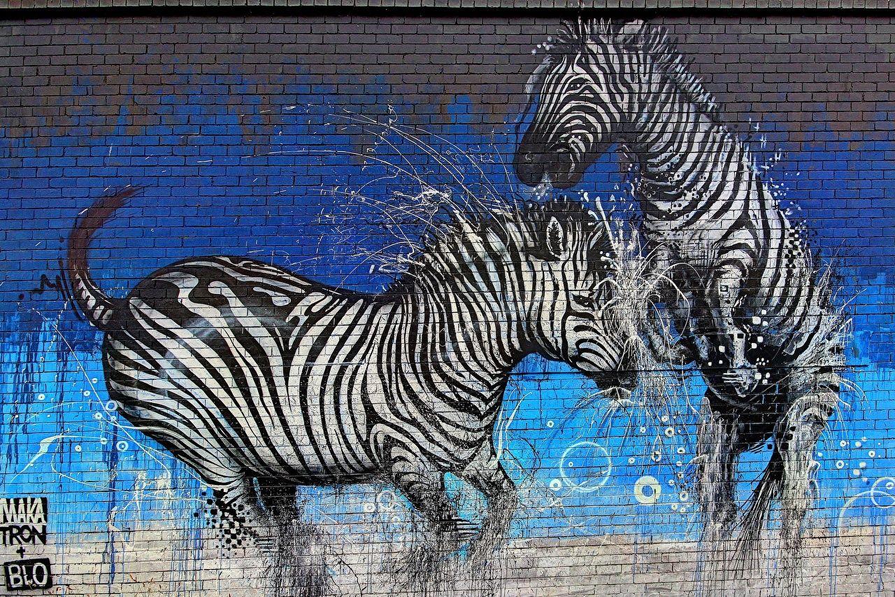 Picture Zebras Graffiti Wall Animals