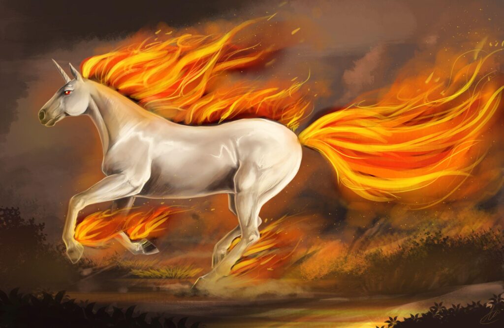 Unicorn wallpapers and Wallpaper wallpapers pictures photos