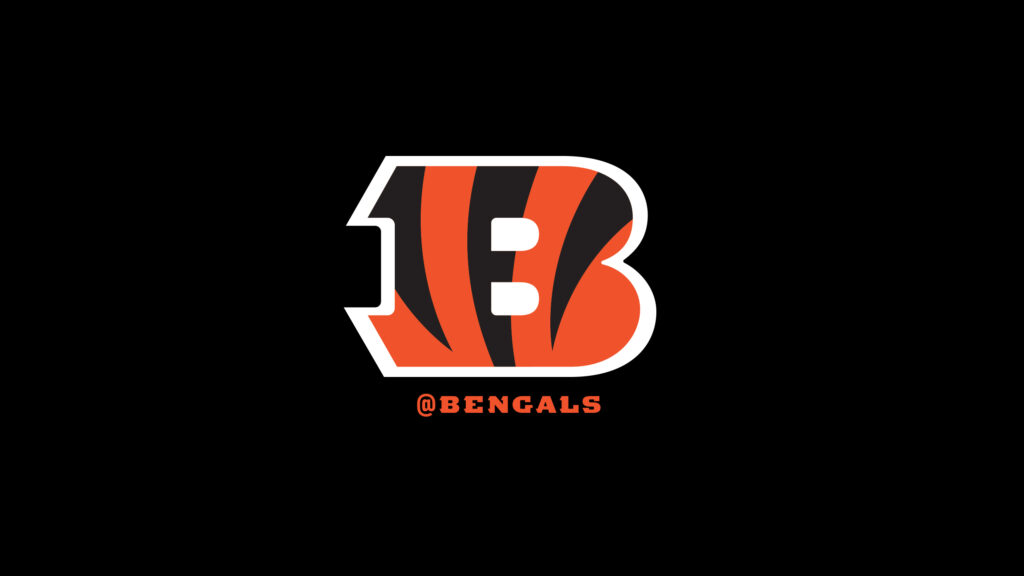 Cincinnati Bengals Banner