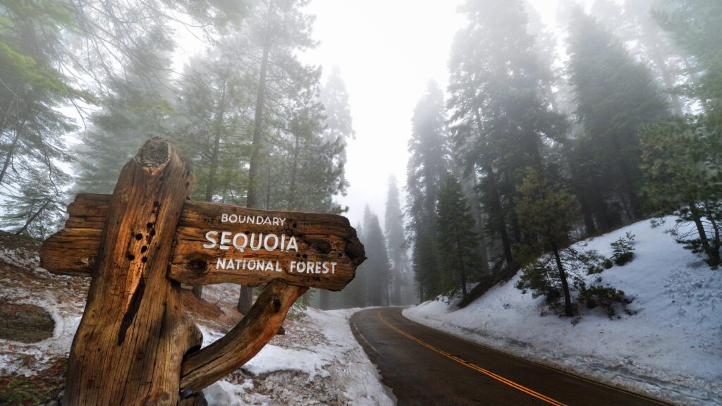 Sequoia National Park 2K wallpapers