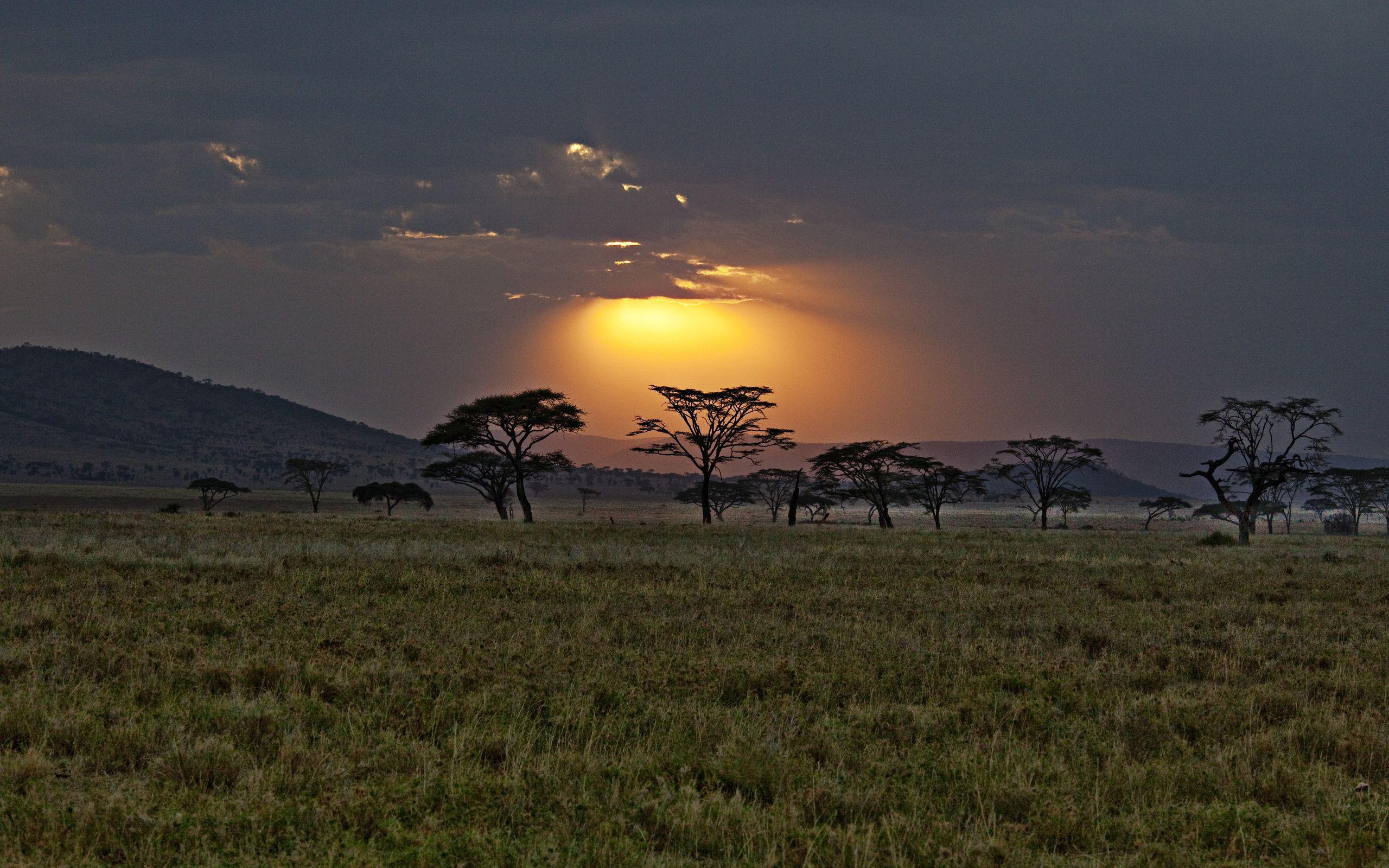 Africa, Savannah, Kenya, Sunset Wallpapers and Pictures