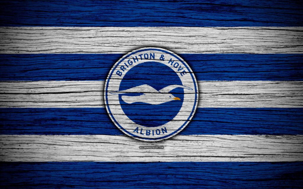 Download wallpapers Brighton and Hove Albion, k, Premier League
