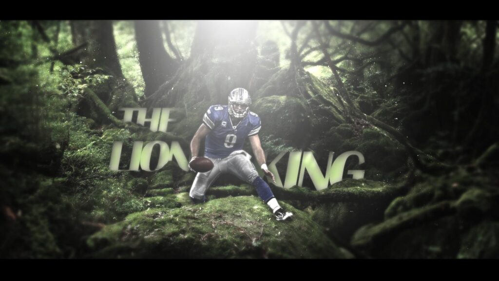 Matthew Stafford Lion King by number