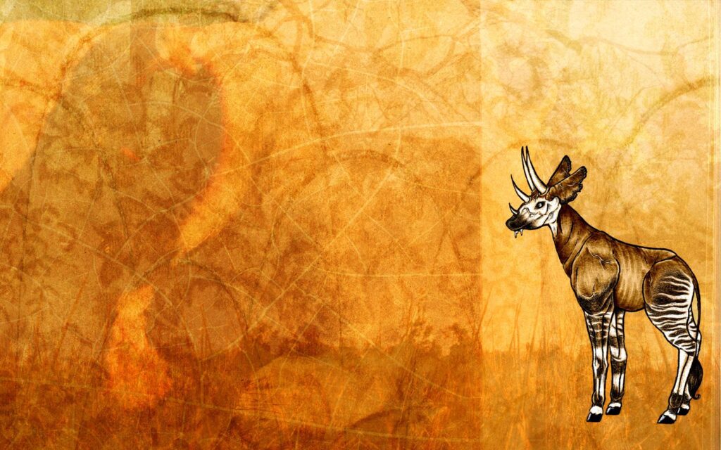 Best Okapi Backgrounds on HipWallpapers