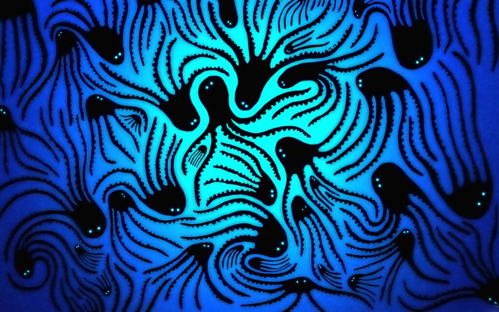 Amazing Octopus Wallpapers