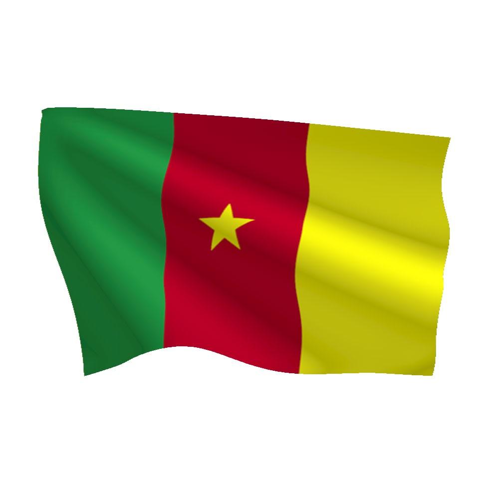 Graafix! Flag of Cameroon flag graphics