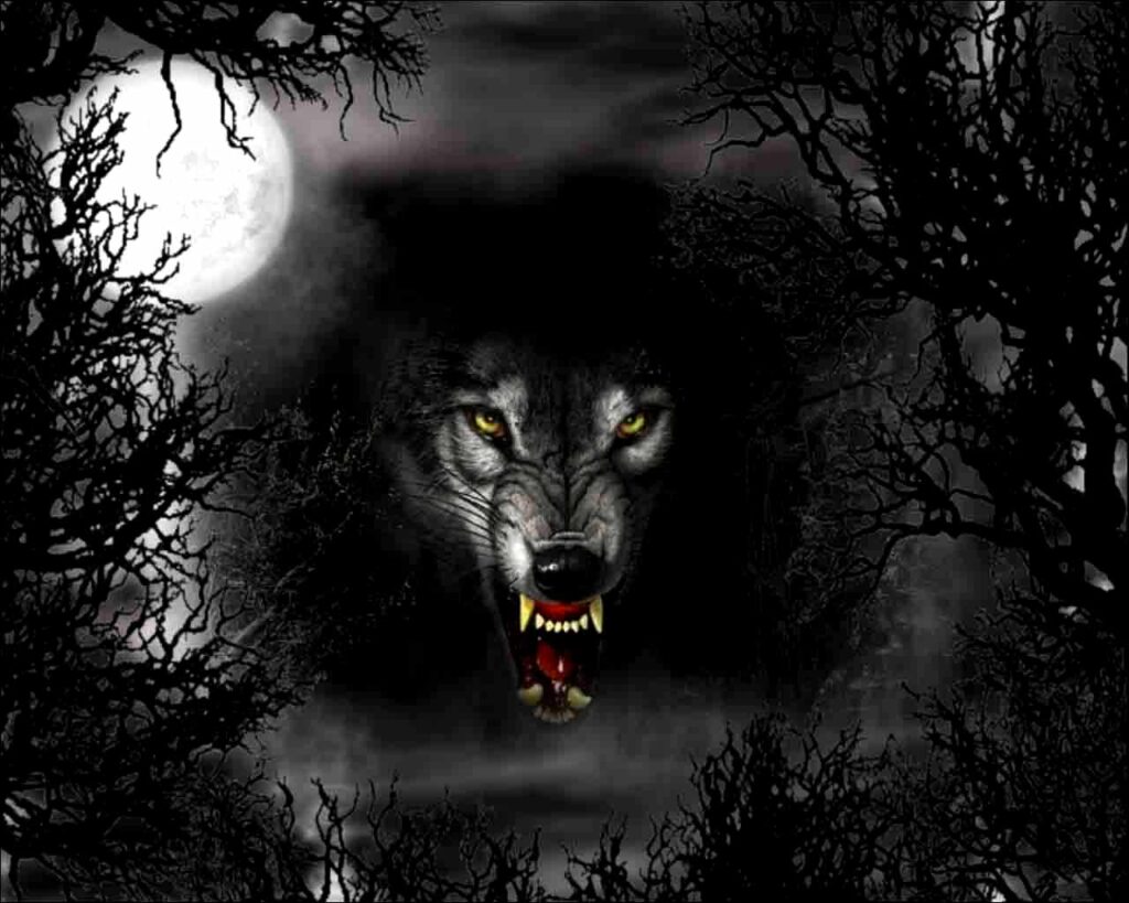Wallpapers For – Dark Wolf Wallpapers