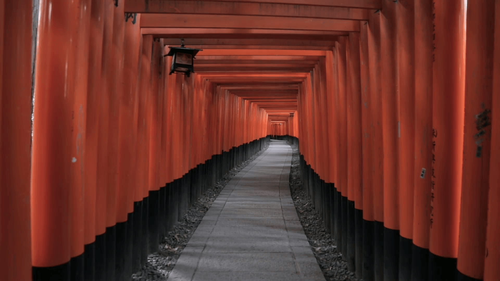 Red torii gates at Fushimi