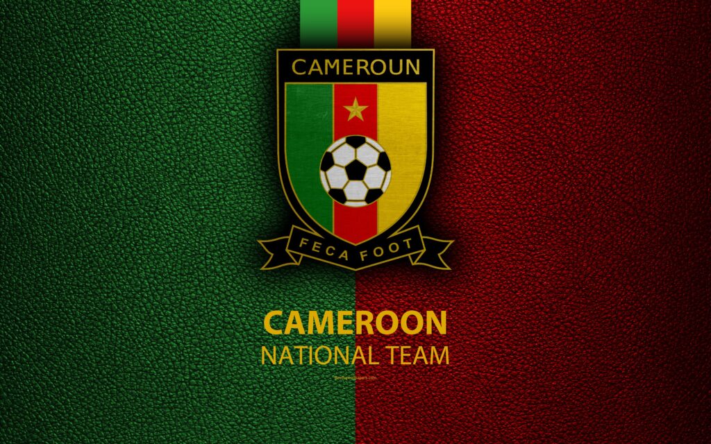 Download wallpapers Cameroon national football team, k, leather