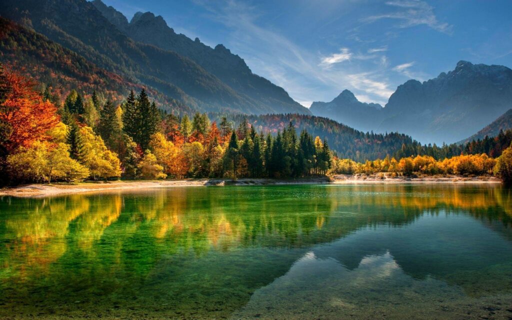 Trees, reflection, beautiful, lakeside beach, autumn, forest