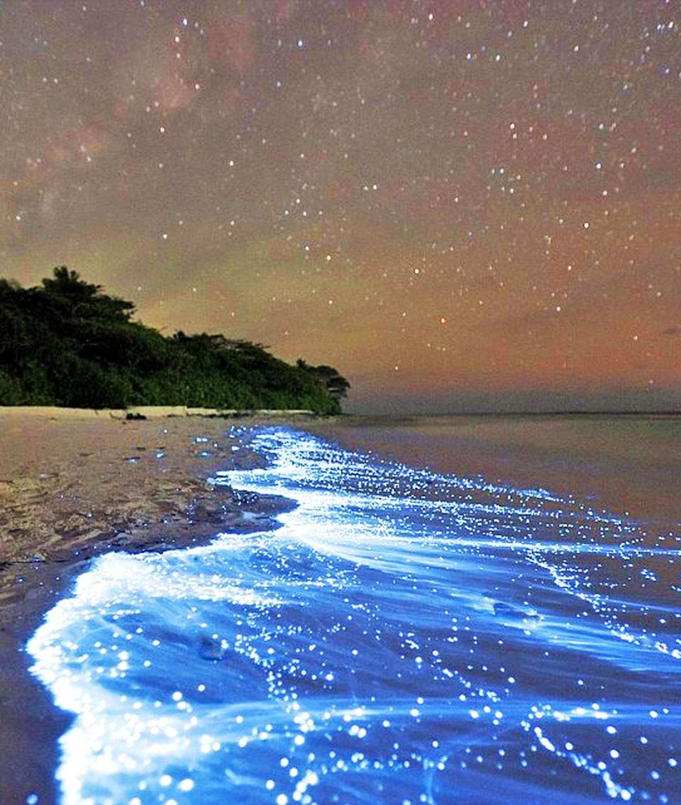 Sea Of Stars, Vaadhoo Island