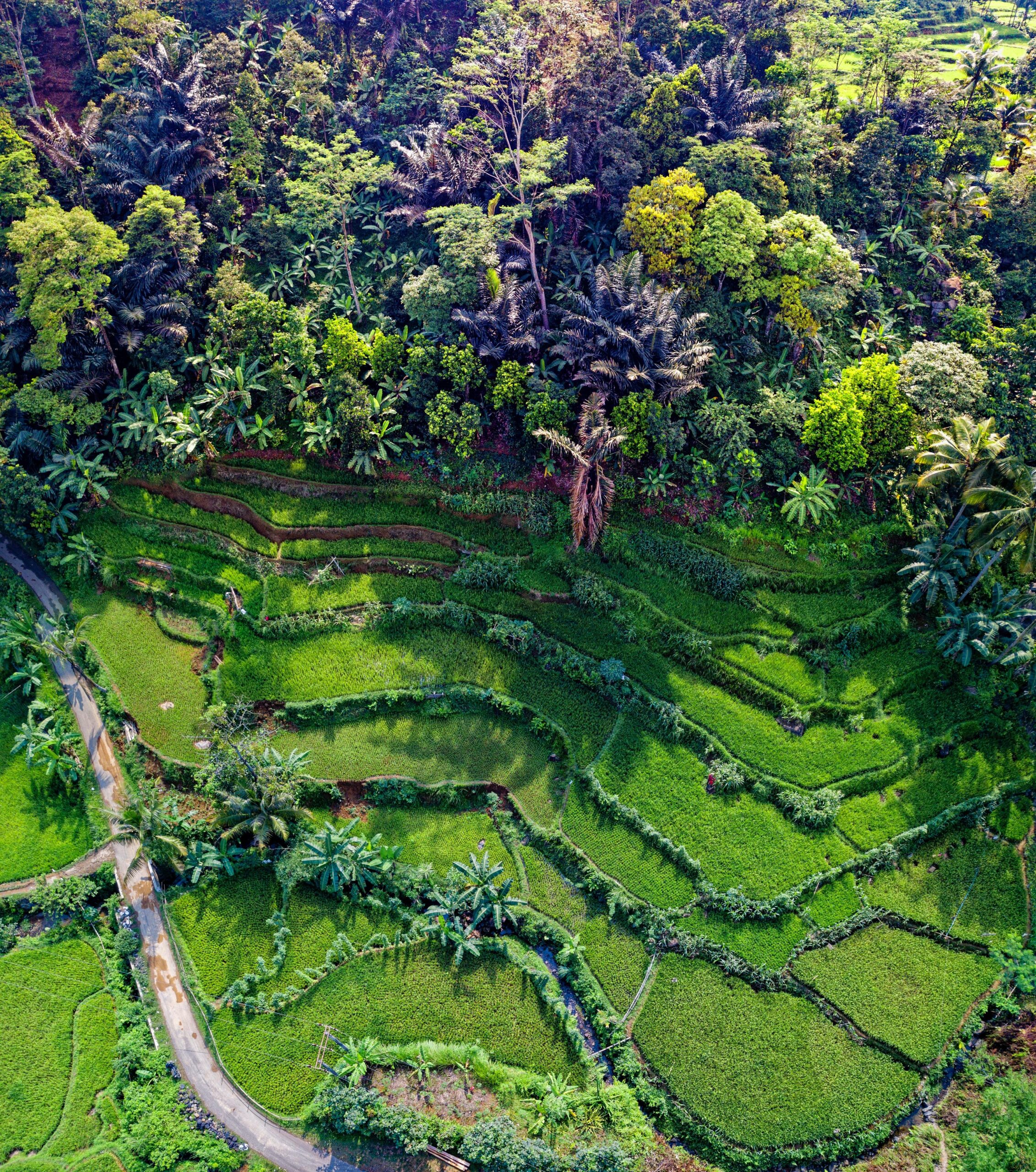 Banaue Rice Terraces, Philippines · Free Stock Photo