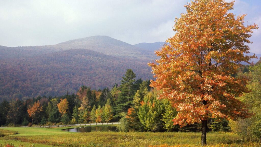 Download Wallpapers Park, Vermont, Trees, Autumn K Ultra