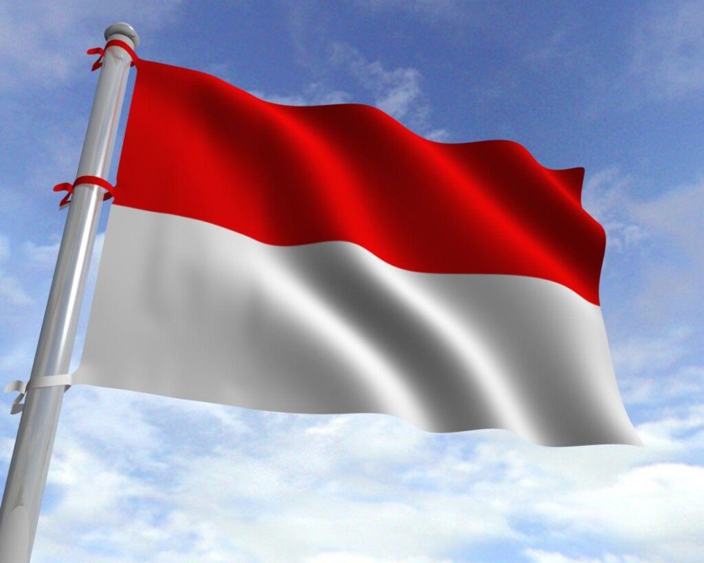 Best Indonesia flag ideas