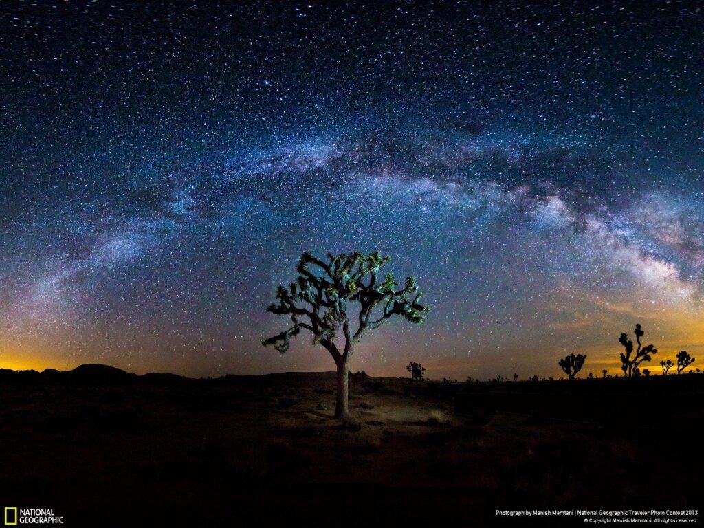 Joshua Tree Stunning Photos From America’s Most Buzzed About