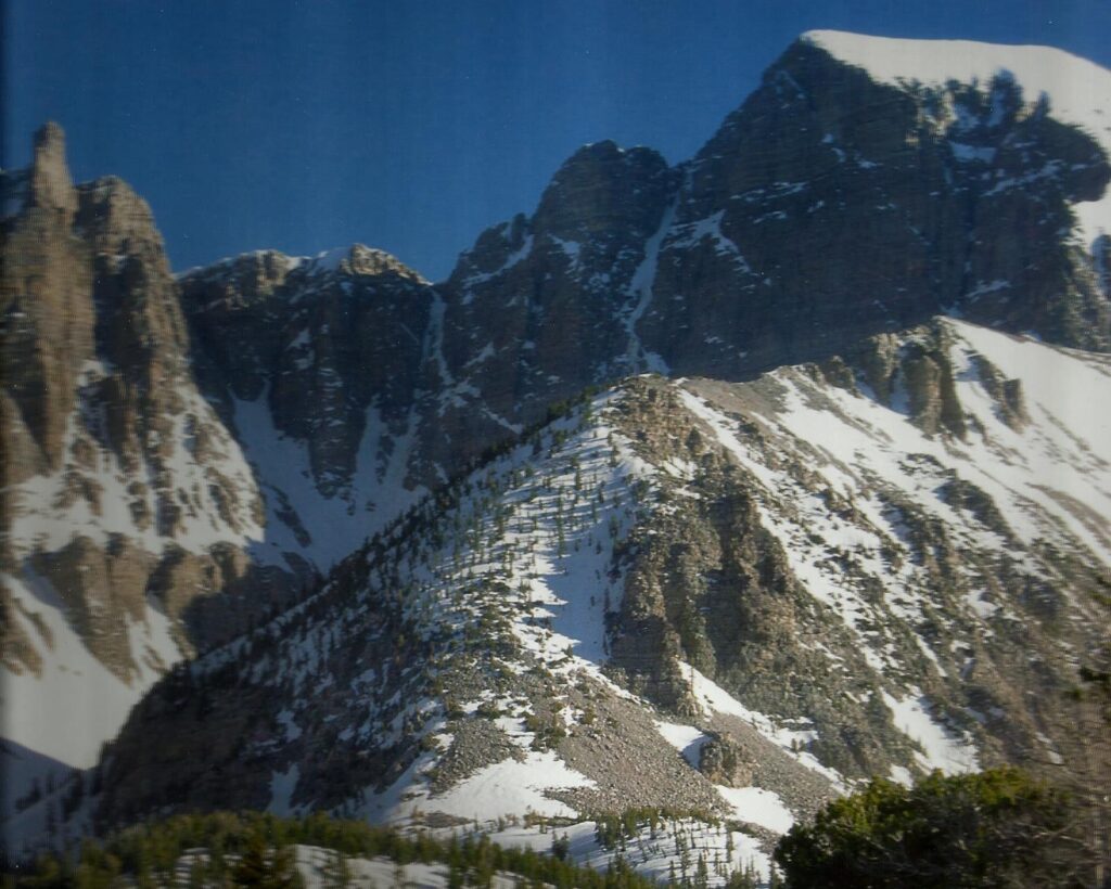 Forest Great Basin National Park Nevada Snow Mountian Sky