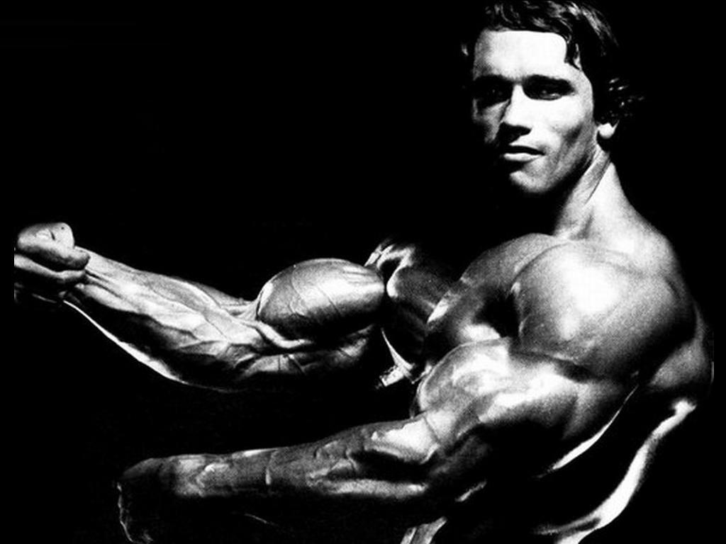 Arnold Schwarzenegger Wallpapers