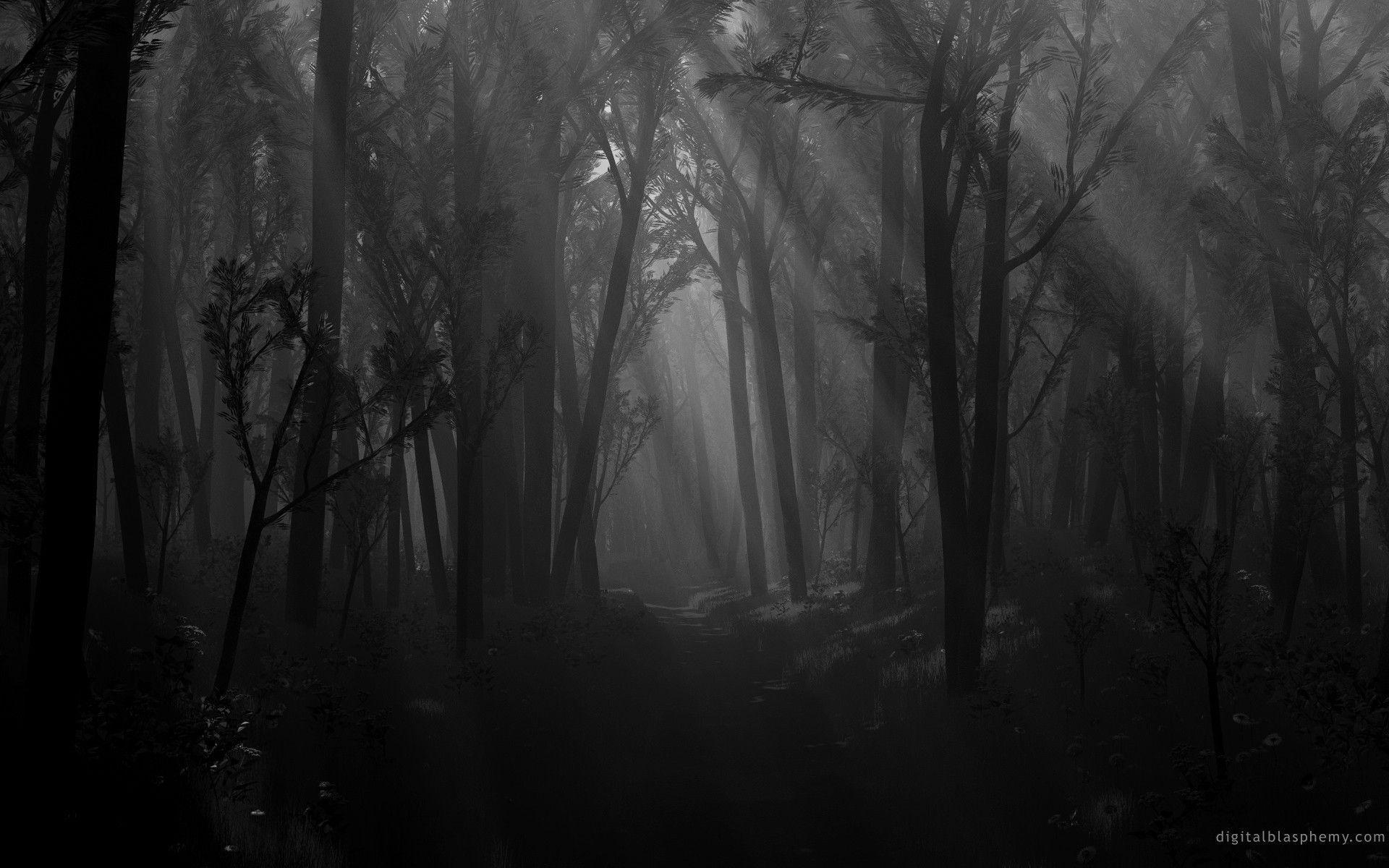 Wallpapers For – Dark Forest And Moon Wallpapers