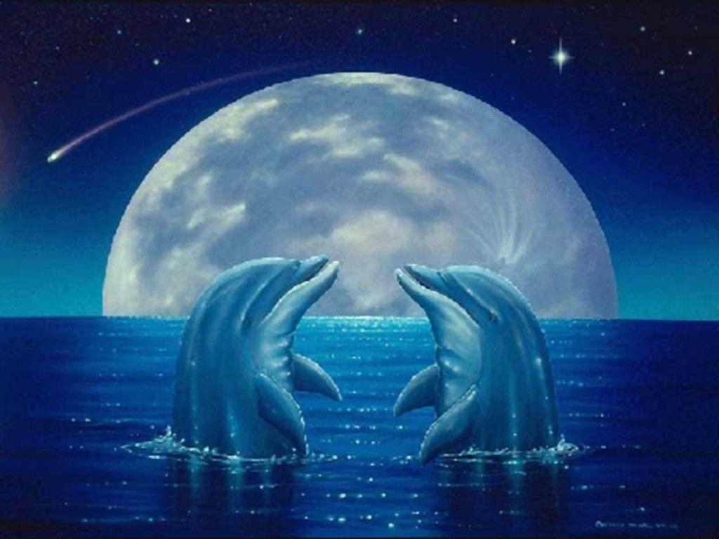 Download Cute Dolphin Wallpaperci Wallpapers