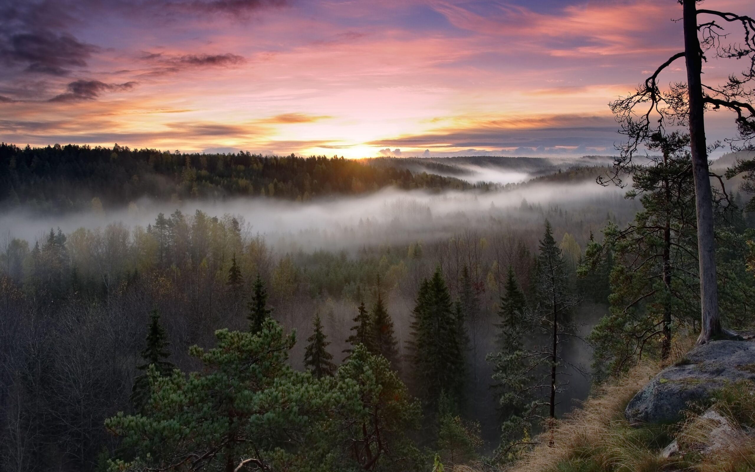 Nuuksio National Park, Finland wallpapers and Wallpaper