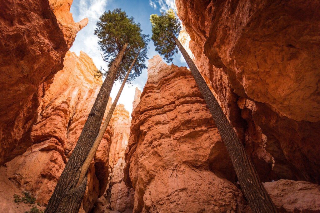 High resolution wallpapers widescreen bryce canyon national park