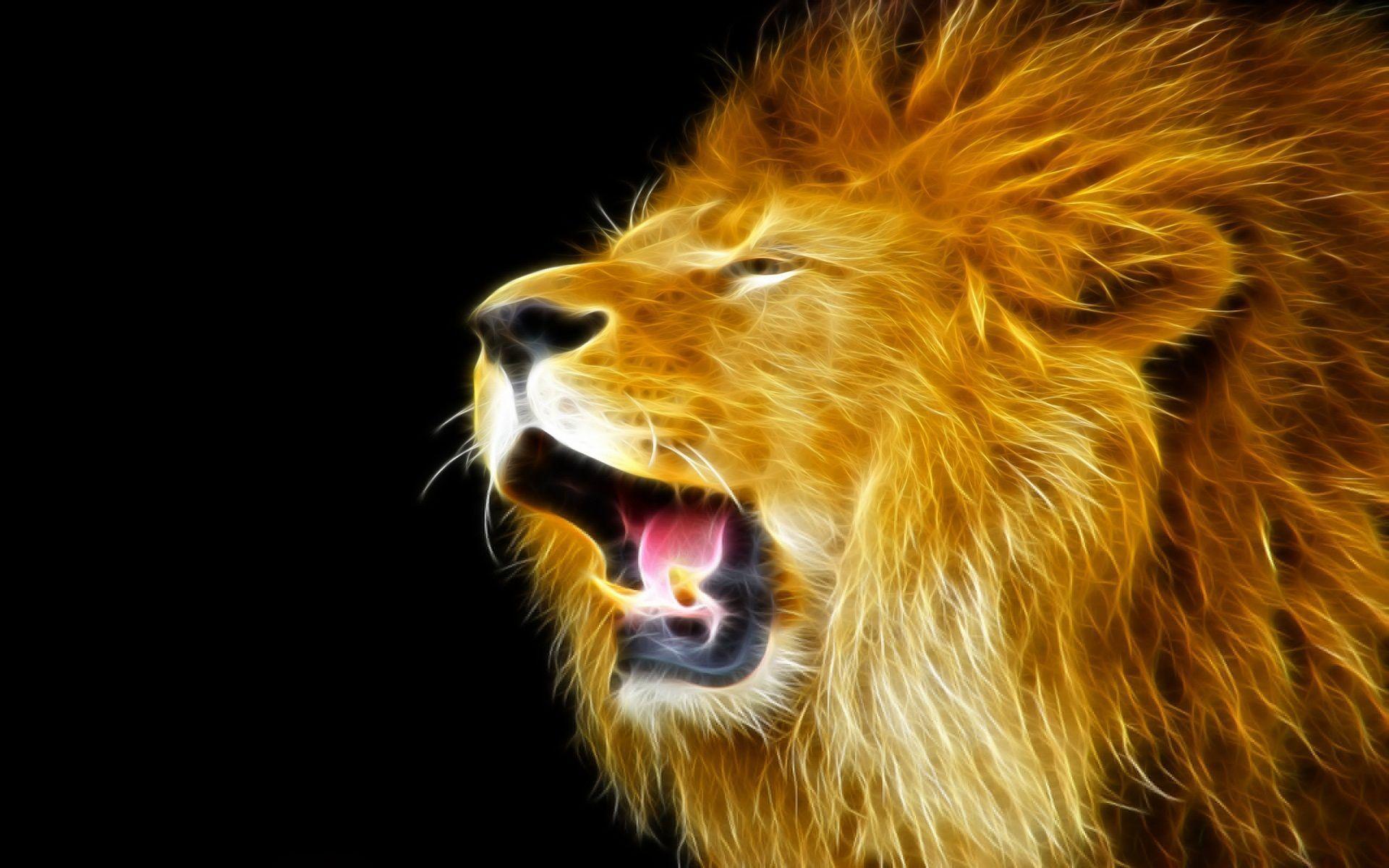 Download Lion Wallpapers