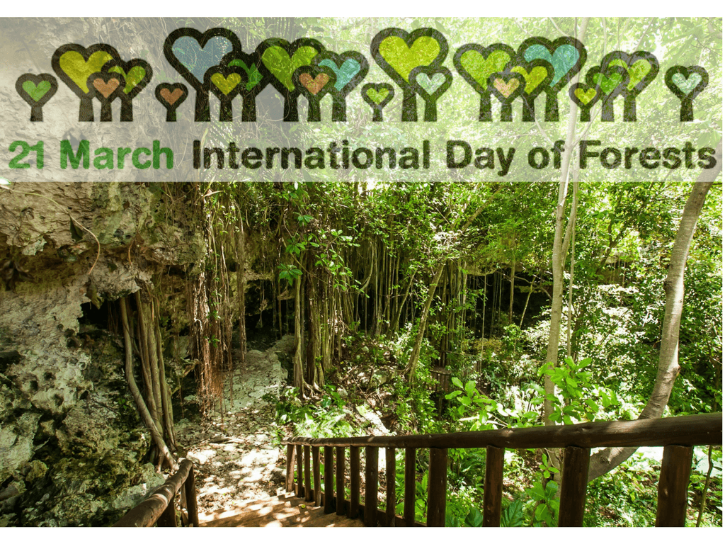 MARCH INTERNATIONAL DAY OF FORESTS