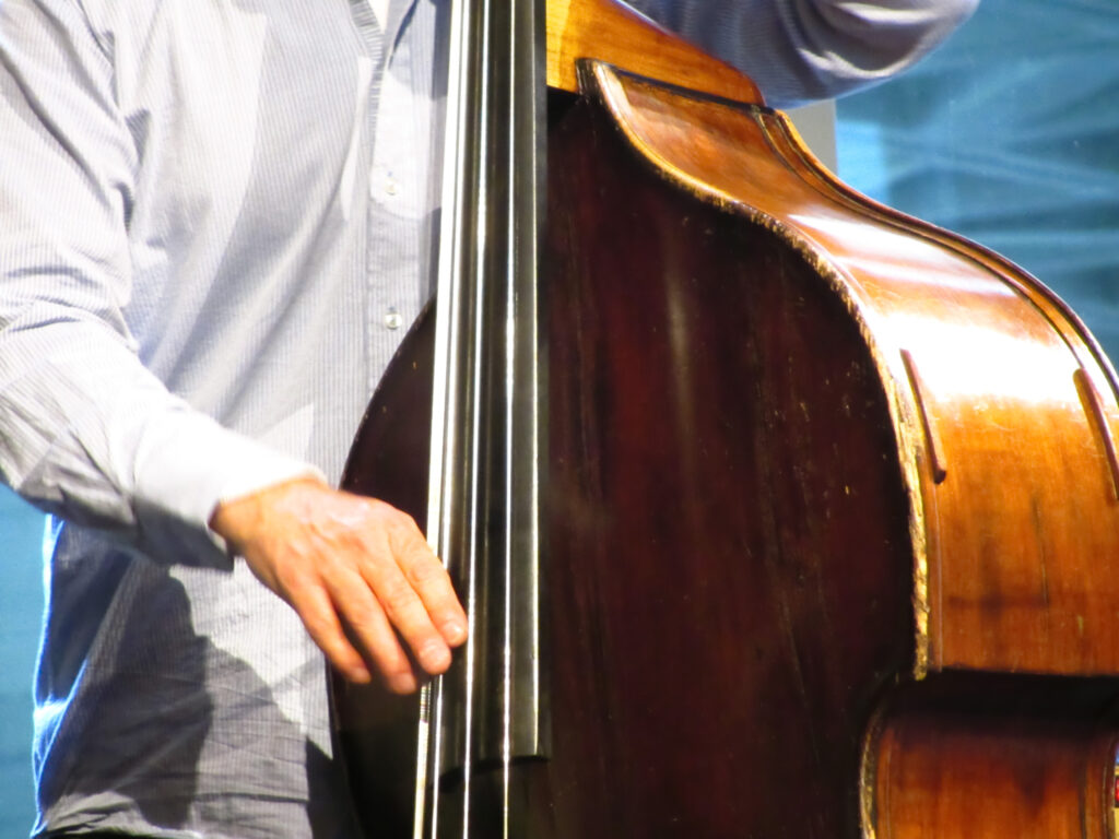 FileDouble Bass