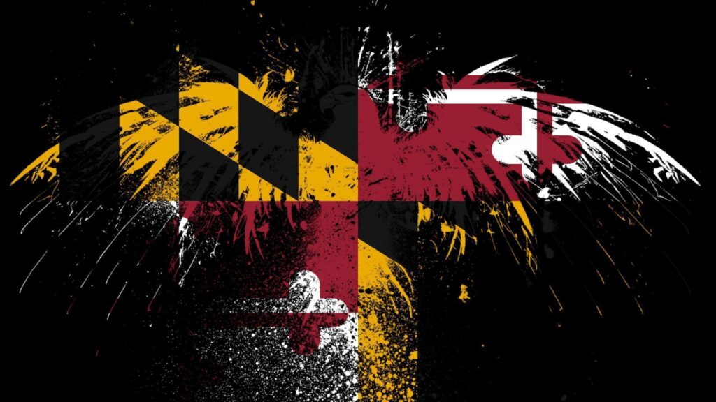 Eagles hawk flags usa maryland state wallpapers