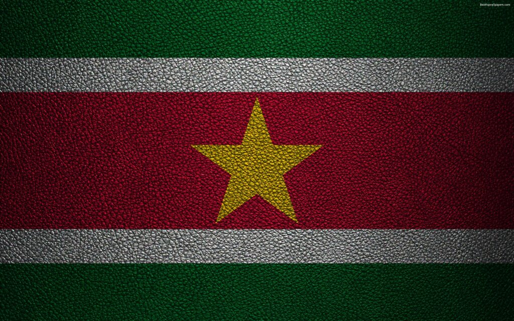 Download wallpapers Flag of Suriname, K, leather texture