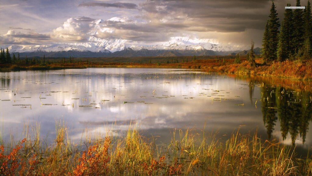 Denali National Park