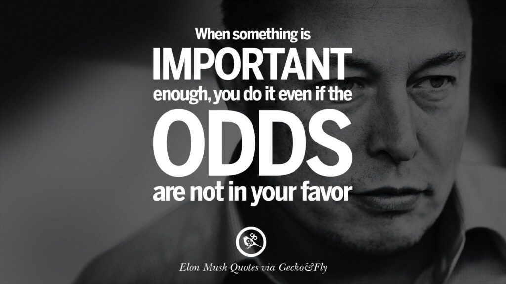 Elon Musk Quotes on Business, Risk and The Future
