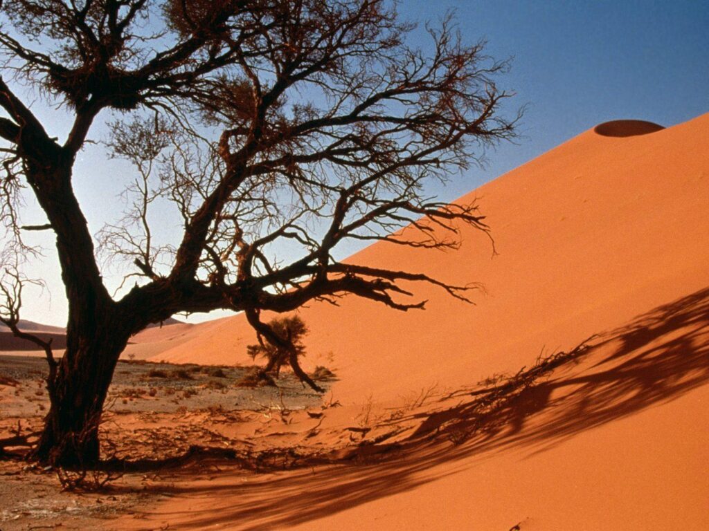 Sand Dunes, Central Africa