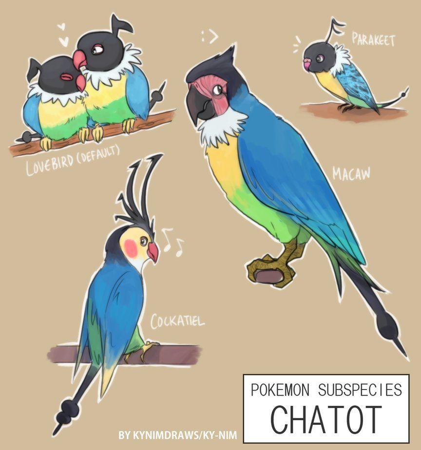 Pkmn Subspecies Chatot by ky