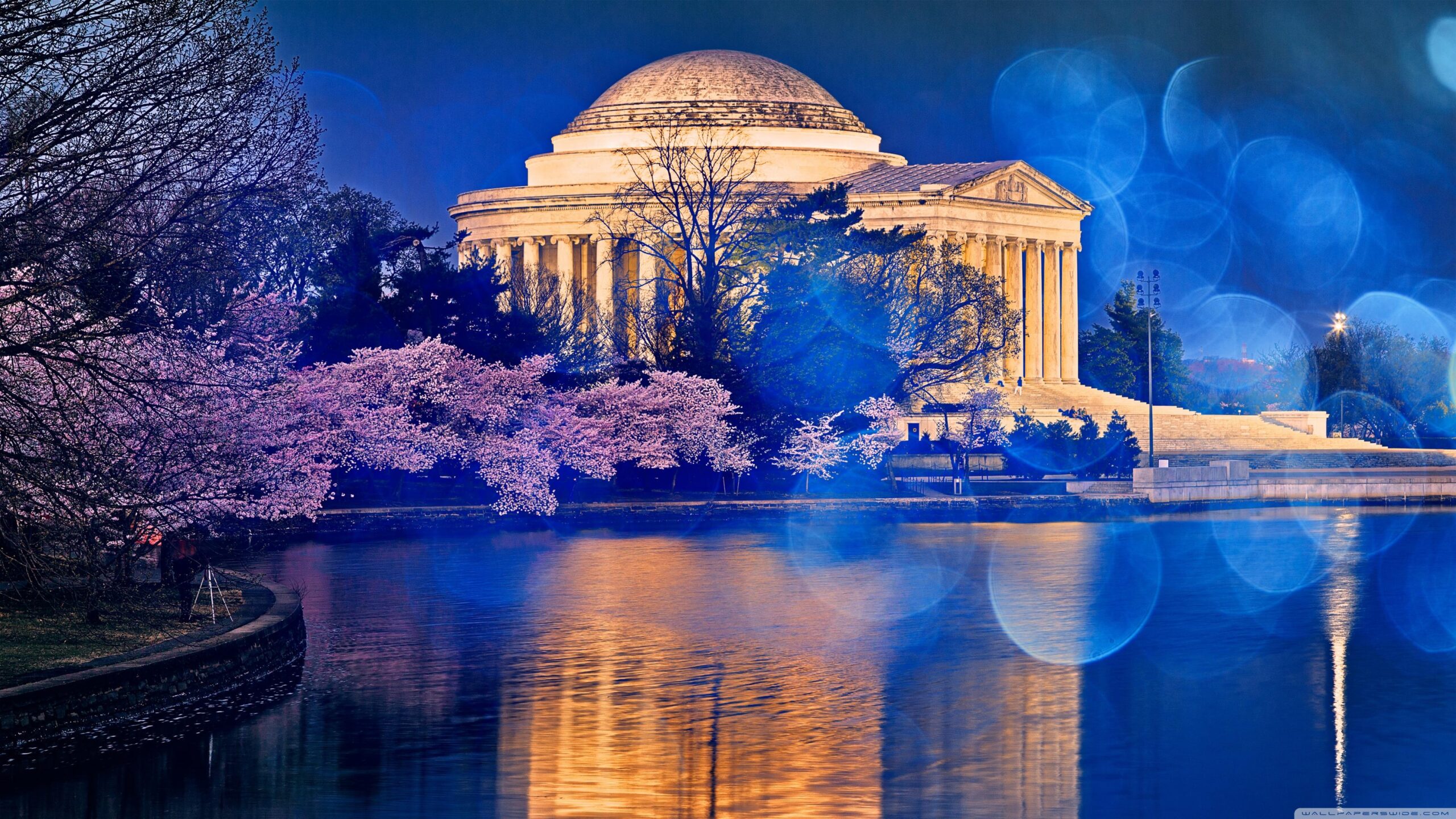 Thomas Jefferson Memorial Cherry Blossom ❤ K 2K Desk 4K Wallpapers